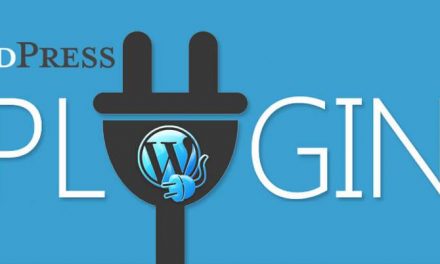 5 Essential Plugins for WordPress Niche Site
